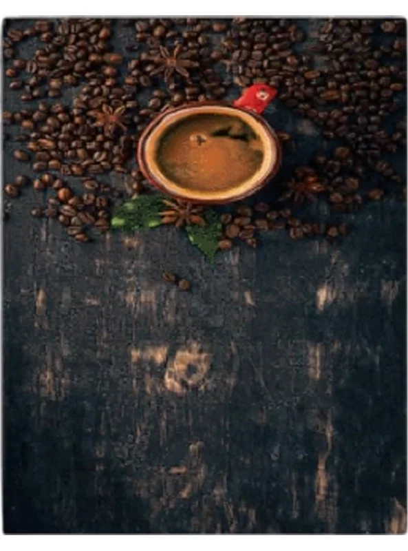 فرشینه و قالیچه آشپزخانه برند رویان کد D55 سایت خرید برو