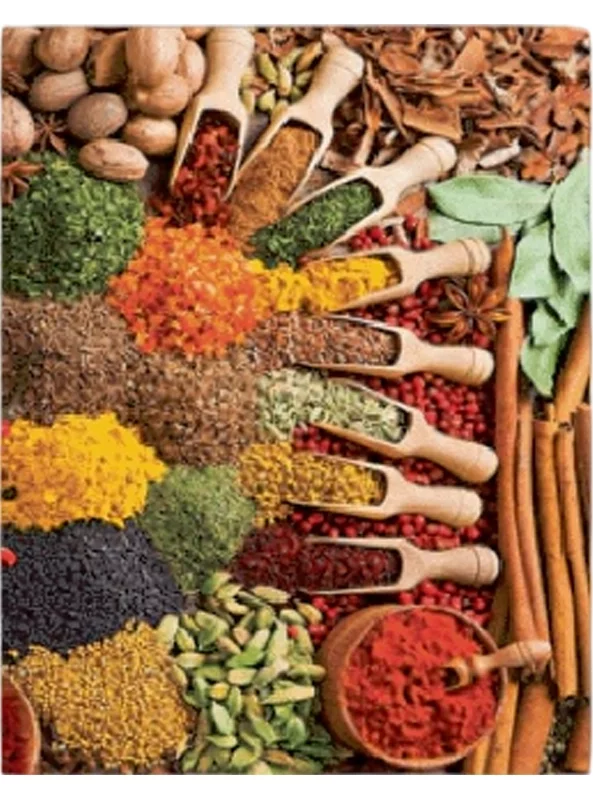 فرشینه و قالیچه آشپزخانه برند رویان کد D59 سایت خرید برو