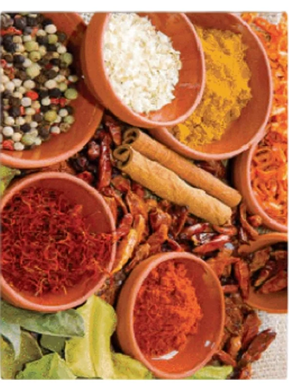 فرشینه و قالیچه آشپزخانه برند رویان کد D71 سایت خرید برو