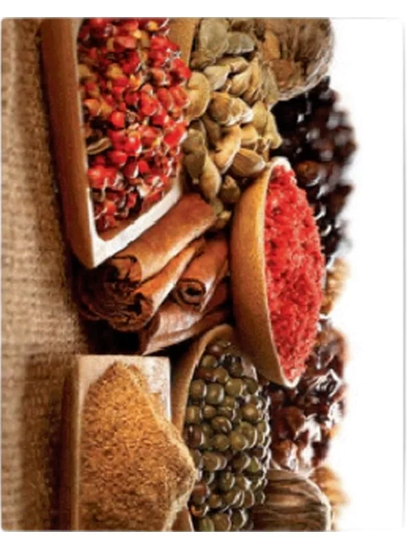 فرشینه و قالیچه آشپزخانه برند رویان کد D72 سایت خرید برو