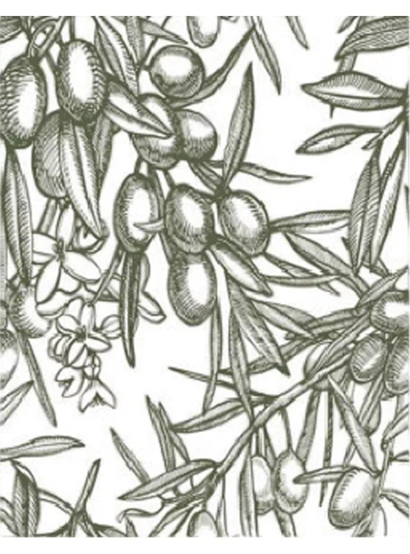 فرشینه و قالیچه آشپزخانه برند رویان کد D81 سایت خرید برو