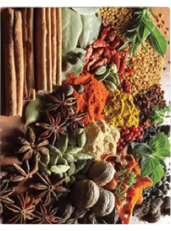 فرشینه و قالیچه آشپزخانه برند رویان کد D91 سایت خرید برو