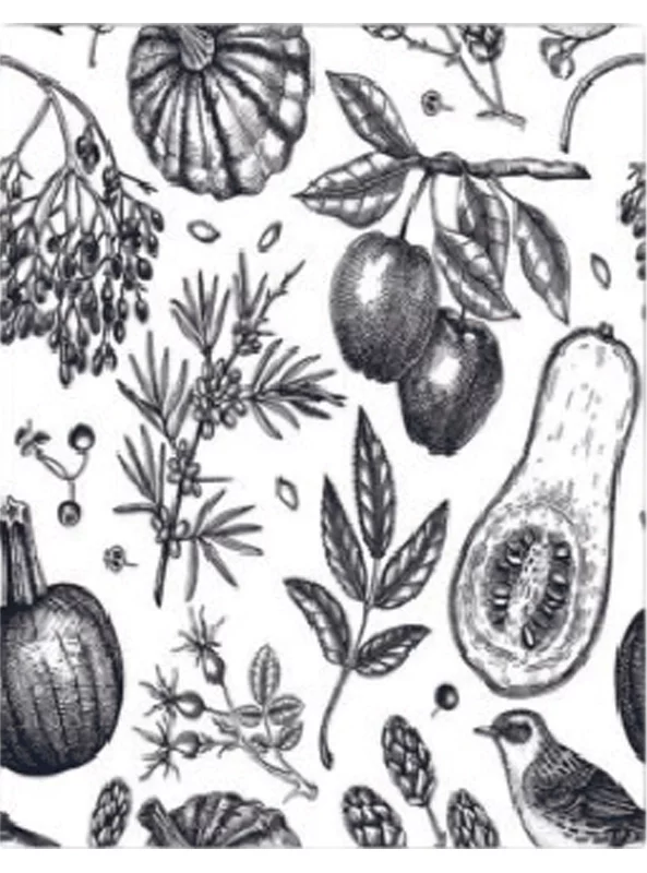 فرشینه و قالیچه آشپزخانه برند رویان کد D94 سایت خرید برو