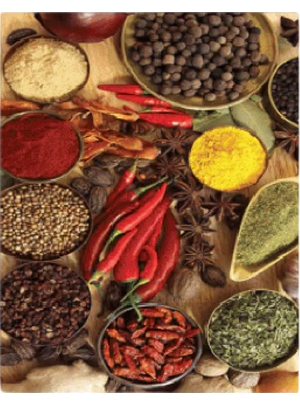 فرشینه و قالیچه آشپزخانه برند رویان کد D100 سایت خرید برو