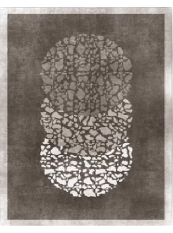 قالیچه و فرشینه سنتی و مدرن هال و پذیرایی برند رویان کدZ113 سایت خرید برو