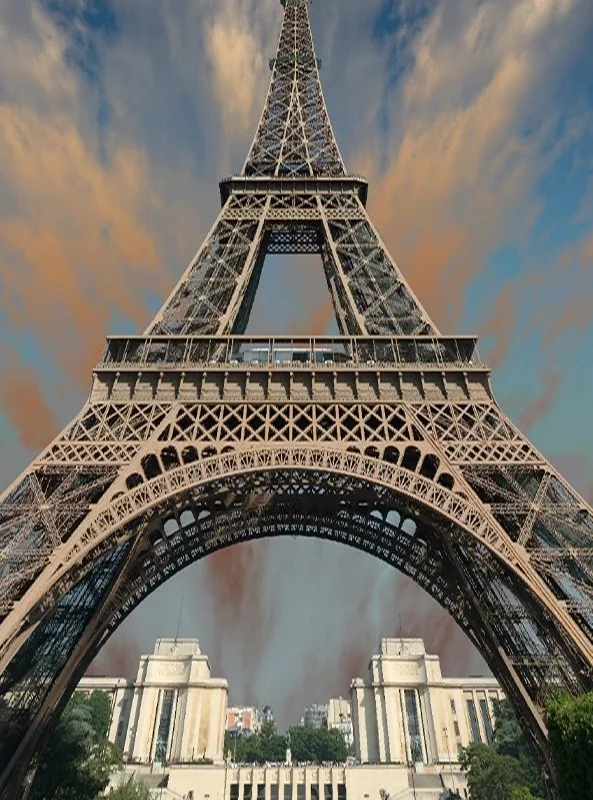 قالیچه و فرشینه سنتی و مدرن هال و پذیرایی برند رویان کد D1 سایت خرید برو