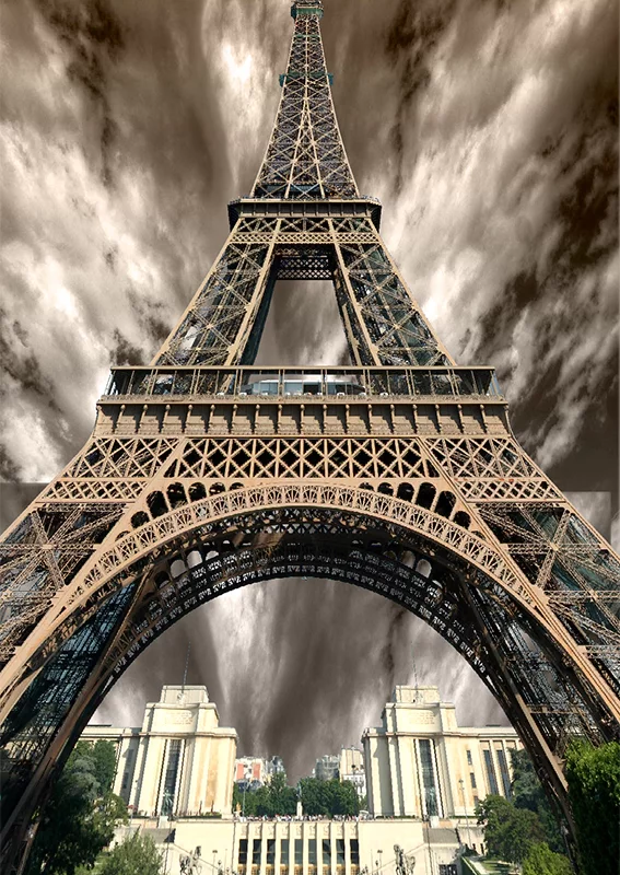 قالیچه و فرشینه سنتی و مدرن هال و پذیرایی برند رویان کد D431 سایت خرید برو