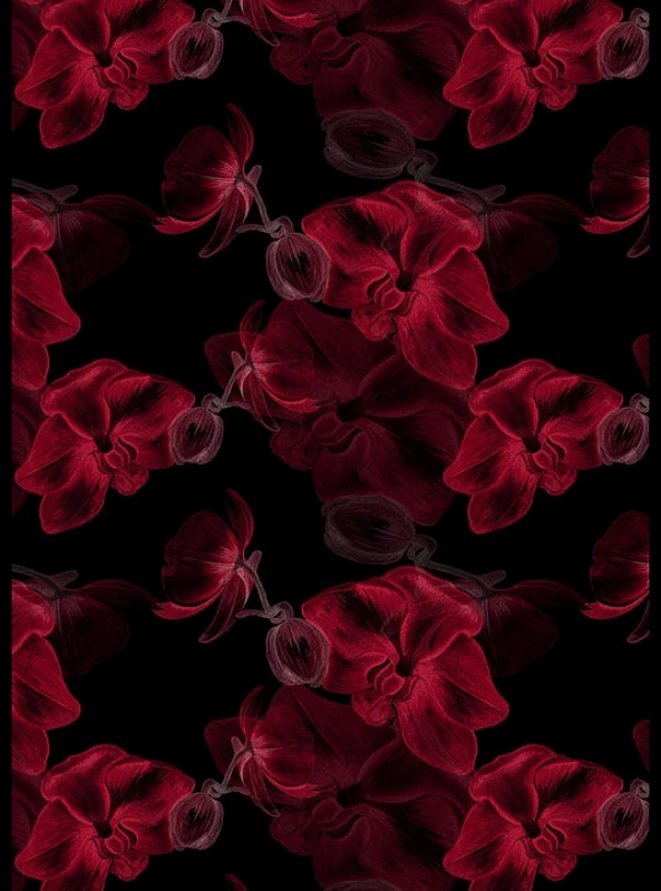 قالیچه و فرشینه سنتی و مدرن هال و پذیرایی برند رویان کد D433 سایت خرید برو