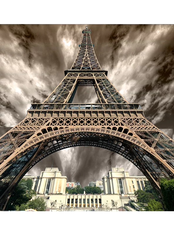 قالیچه و فرشینه مدرن هال و پذیرایی برند رویان کد F38 سایت خرید برو