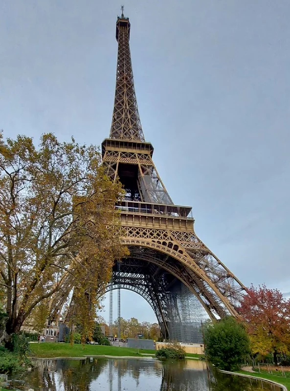 قالیچه و فرشینه مدرن هال و پذیرایی برند رویان کد F41 سایت خرید برو