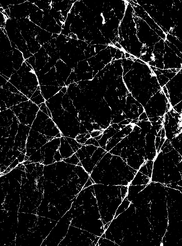 قالیچه و فرشینه مدرن هال و پذیرایی برند رویان کد F50 سایت خرید برو