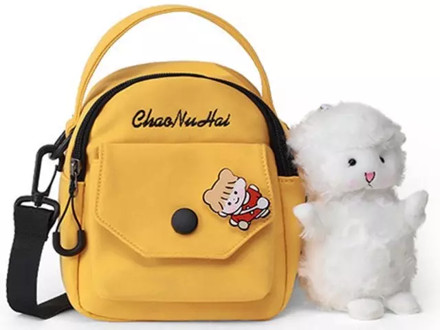 مینی کیف دوشی و کراس بادی دخترانه فانتزی women's bags crossbody 2023 new 6624