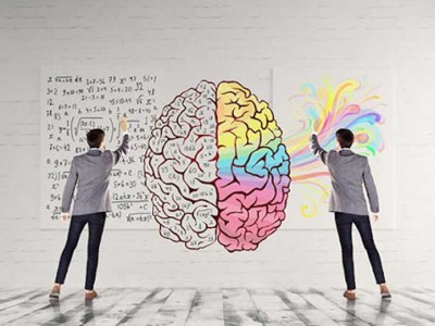 هوش هیجانی و نقش آن در موفقیت فردی و حرفه‌ای