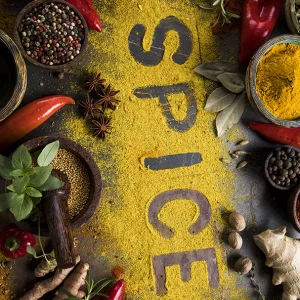 فرشینه و قالیچه آشپزخانه برند رویان کدD3 سایت خرید برو