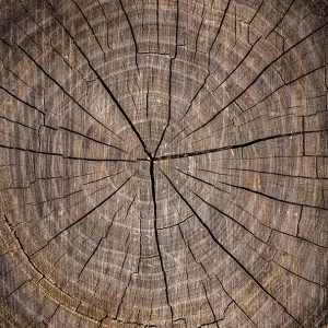 فرشینه و قالیچه آشپزخانه برند رویان کد D9 سایت خرید برو