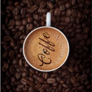 فرشینه و قالیچه آشپزخانه برند رویان کد D38 سایت خرید برو