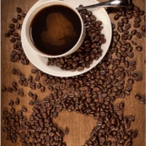 فرشینه و قالیچه آشپزخانه برند رویان کد D41 سایت خرید برو