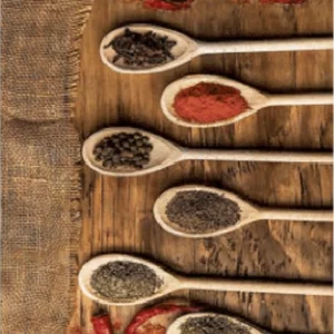 فرشینه و قالیچه آشپزخانه برند رویان کد D43 سایت خرید برو