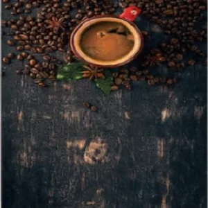 فرشینه و قالیچه آشپزخانه برند رویان کد D55 سایت خرید برو