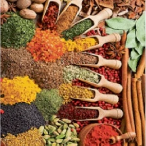 فرشینه و قالیچه آشپزخانه برند رویان کد D59 سایت خرید برو