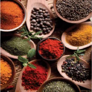 فرشینه و قالیچه آشپزخانه برند رویان کد D73 سایت خرید برو