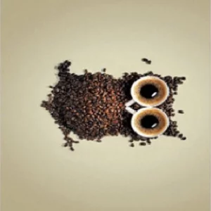 فرشینه و قالیچه آشپزخانه برند رویان کد D74 سایت خرید برو