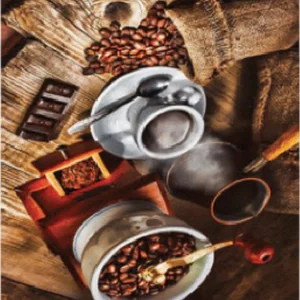 فرشینه و قالیچه آشپزخانه برند رویان کد D75 سایت خرید برو