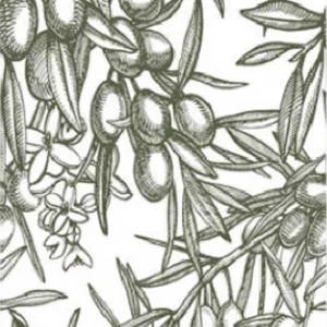 فرشینه و قالیچه آشپزخانه برند رویان کد D81 سایت خرید برو