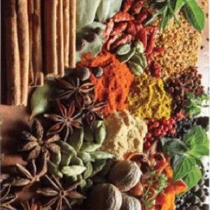 فرشینه و قالیچه آشپزخانه برند رویان کد D91 سایت خرید برو