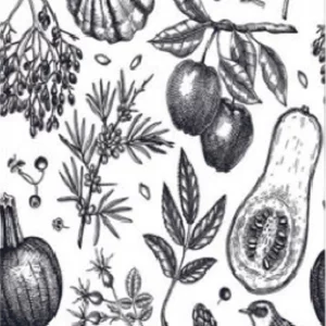 فرشینه و قالیچه آشپزخانه برند رویان کد D94 سایت خرید برو