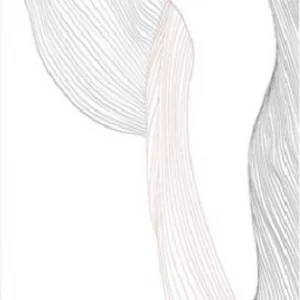 فرشینه و قالیچه آشپزخانه برند رویان کد D98 سایت خرید برو