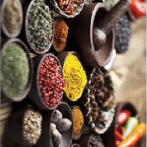 فرشینه و قالیچه آشپزخانه برند رویان کد D99 سایت خرید برو