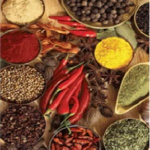 فرشینه و قالیچه آشپزخانه برند رویان کد D100 سایت خرید برو