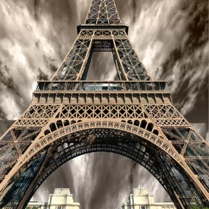 قالیچه و فرشینه سنتی و مدرن هال و پذیرایی برند رویان کد D431 سایت خرید برو