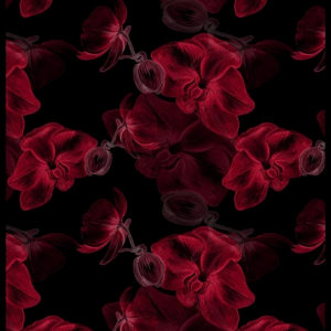 قالیچه و فرشینه سنتی و مدرن هال و پذیرایی برند رویان کد D433 سایت خرید برو