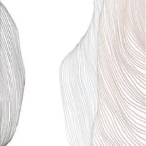 قالیچه و فرشینه سنتی و مدرن هال و پذیرایی برند رویان کدZ294 سایت خرید برو