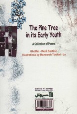 نوجوانی درخت کاج (مجموعه شعر)