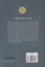 پس از ابر After the cloud