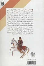 امیر ارسلان نامدار