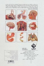 شگفتی های بدن انسان (همراه با تصویرهای متحرک)