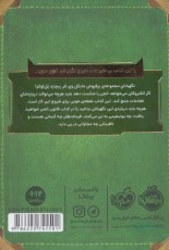 کتاب قانون الجن: راهنمایی برای طرف‌داران مایکل وی