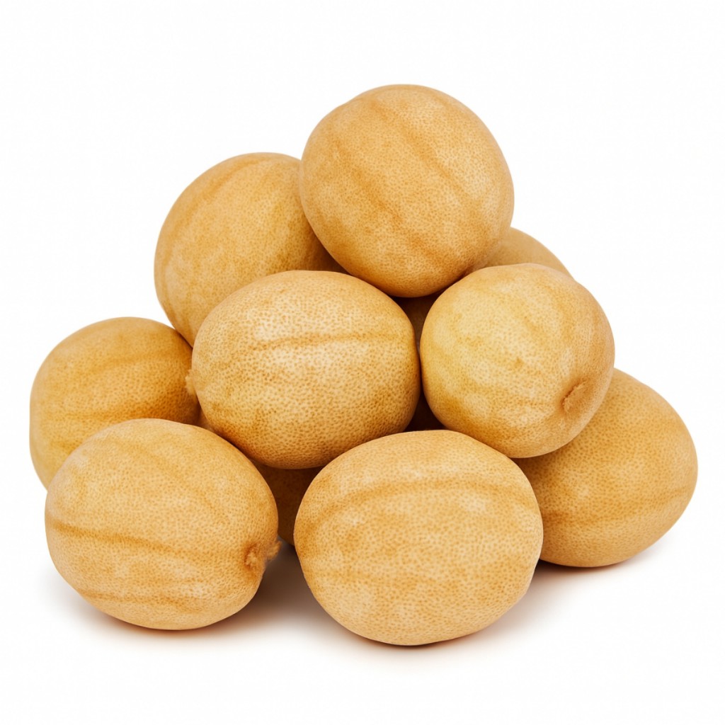 لیمو عمانی درشت ممتاز