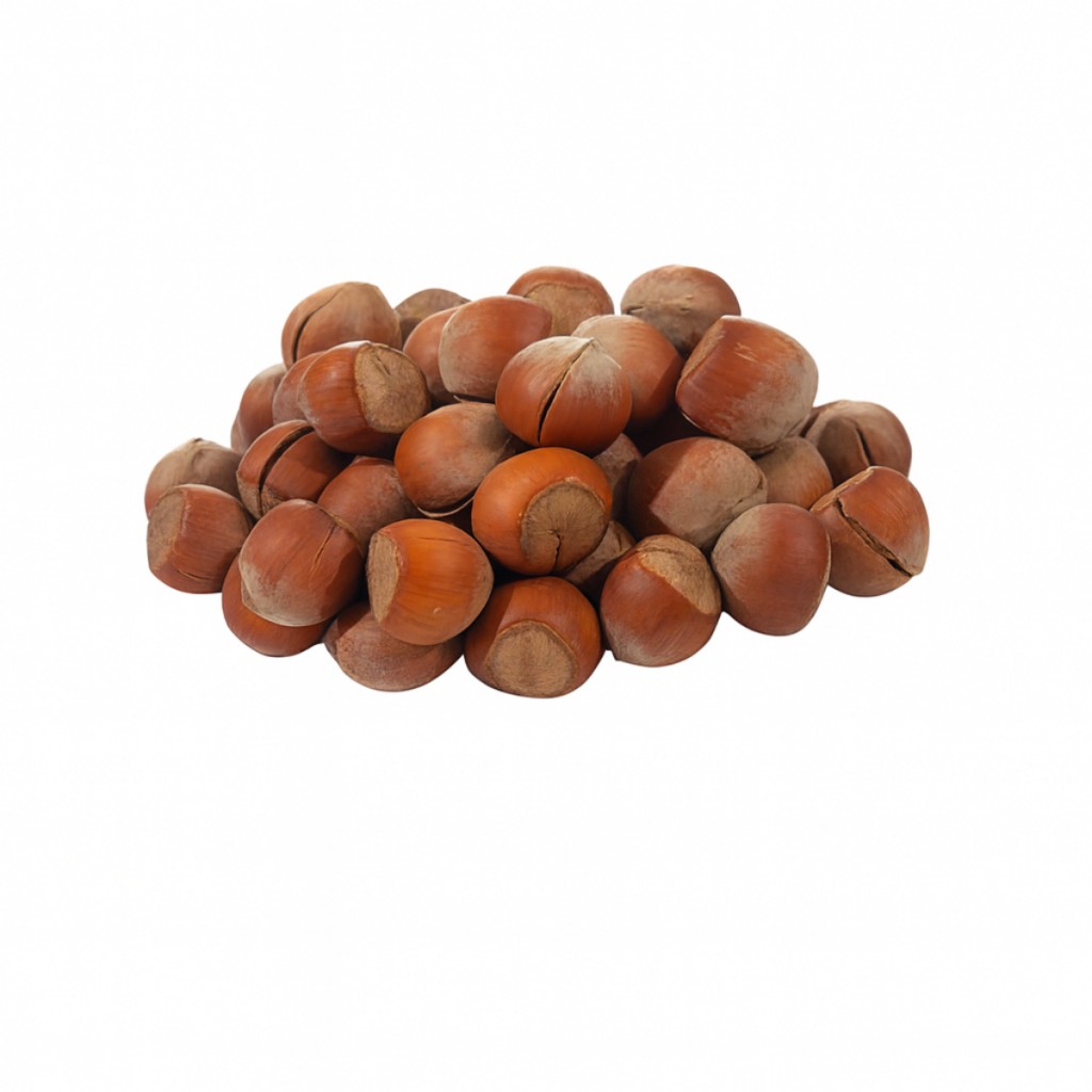 فندق خام ممتاز ایرانی