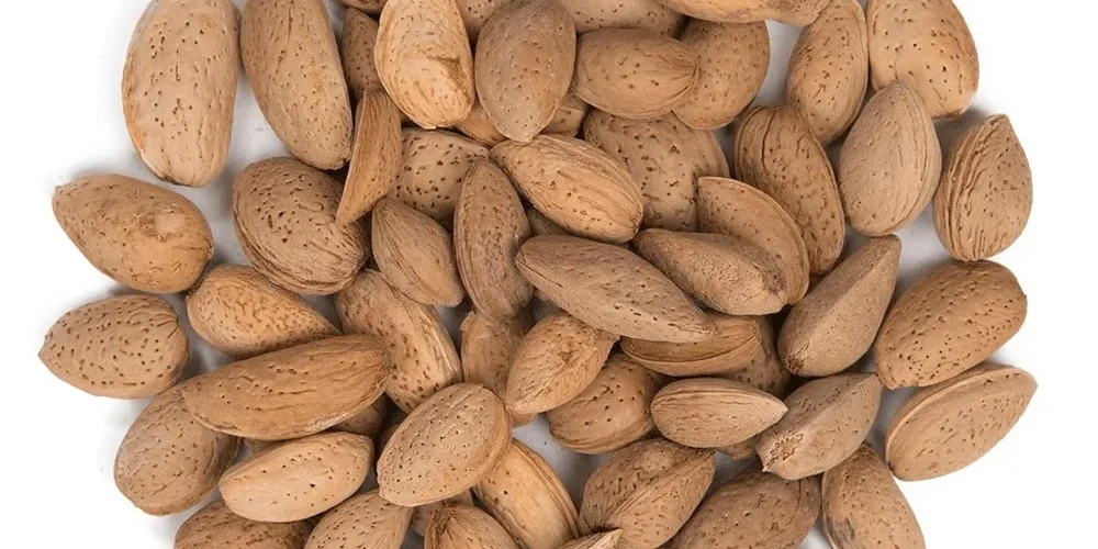 خرید بادام درختی درجه یک با قیمت باورنکردنی!