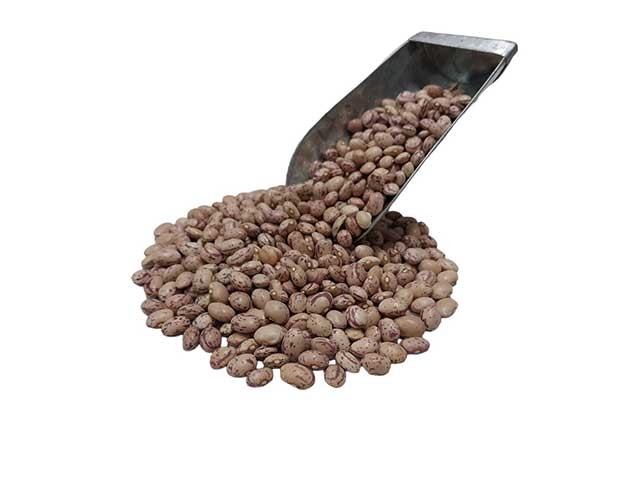 لوبیا چیتی ایرانی