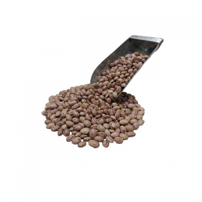 لوبیا چیتی ممتاز ایرانی