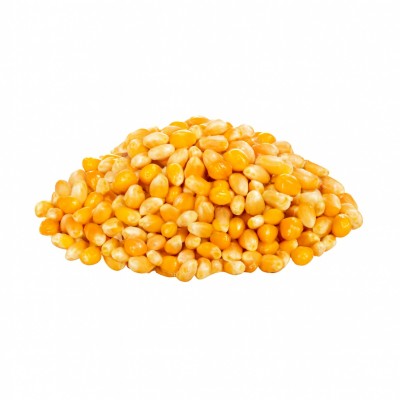 ذرت خام ممتاز