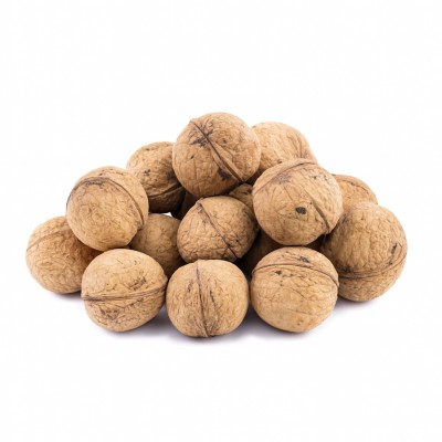 گردو  ایرانی ممتاز