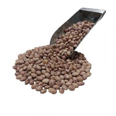 لوبیا چیتی ایرانی