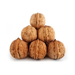 انواع گردو درجه یک